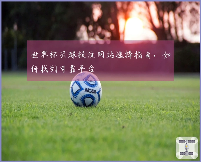 世界杯买球投注网站选择指南，如何找到可靠平台