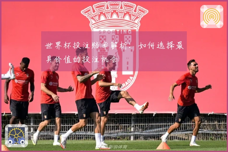 世界杯投注赔率解析：如何选择最具价值的投注机会