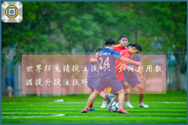 世界杯竞猜投注技巧：如何利用数据提升投注技巧