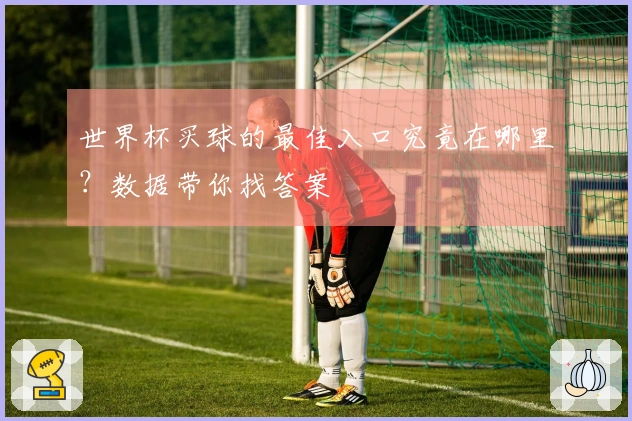 世界杯买球的最佳入口究竟在哪里？数据带你找答案