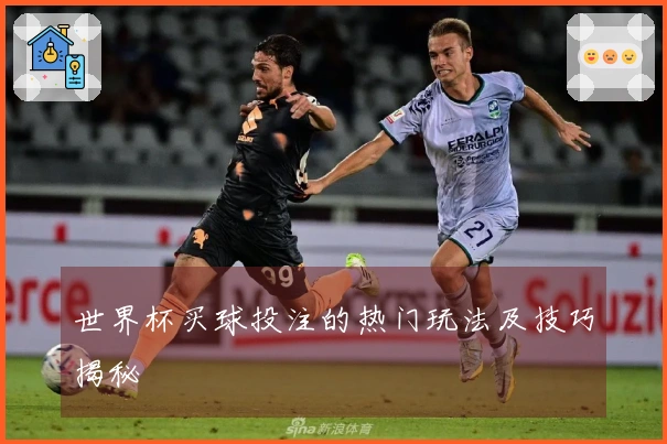 世界杯买球投注的热门玩法及技巧揭秘