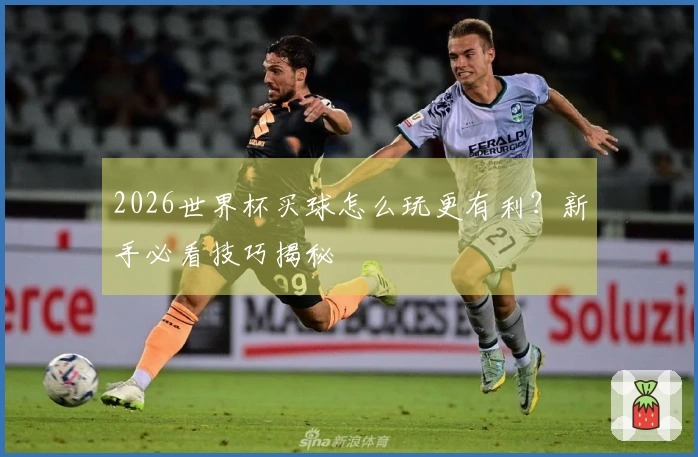 2026世界杯买球怎么玩更有利？新手必看技巧揭秘