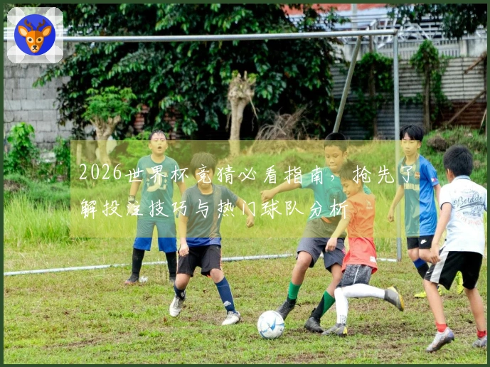 2026世界杯竞猜必看指南，抢先了解投注技巧与热门球队分析