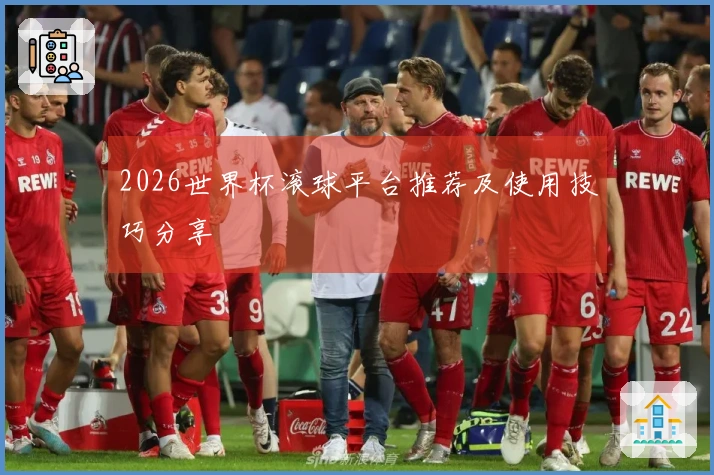 2026世界杯滚球平台推荐及使用技巧分享